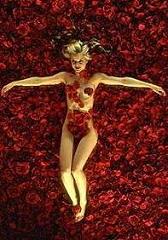 American Beauty